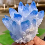 249GNewly discovered blue phantom crystal quartz cluster mineral sample healing