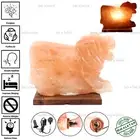 LION SHAPE 3-4 KG ELECTRIC HIMALAYAN SALT TABLE LAMP PURIFY ROCK NATURAL IONISER