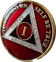 1 Year AA Medallion Metallic Red Black Nickel Gold Plated Tri-Plate Sobriety Chip