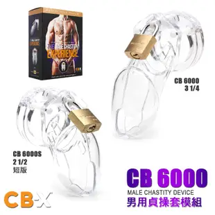 美國 A.L. Enterprises 男用貞操套模組 CB6000(S) MALE CHASTITY DEVICE