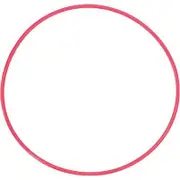 Olympus POL-E101 O-Ring