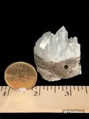 Quartz Geode Turtle Carving