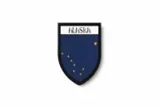 PATCH PATCHES EMBLEM IRON ON GLUE PRINT FLAG world crest usa alaska