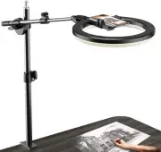 Ring Light with Stand and Phone Holder, Overhead Phone Mount, Phone Stand for