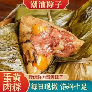 潮州山哥蛋黃肉粽雙拼甜粽禮盒新鮮現包廣東潮汕傳統粽子常溫粽子