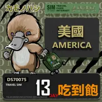 在飛比找momo購物網優惠-【鴨嘴獸 旅遊網卡】Travel Sim 美國 加拿大 13