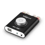 NS-20G 200W Mini Bluetooth 5.0 Power Amplifier 2.0 Channel Wireless Re