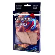 RA FRITZ Catappa Leaves