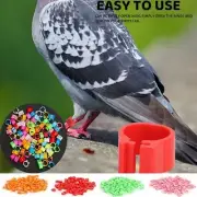 100PCS Bird Rings Leg Bands For Pigeon Parrot Clip Rings Number 1-100 multicolor