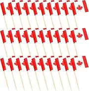Flag Toothpicks 100PCS Mini Canada Flags On Sticks Food Flags Toothpick Cupcake Toppers Mini Cocktail Stick Flag Decor for Independence Day Party Bar