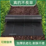 可開發票 除草布  加厚除草佈 防草布 地釘農用 果園大棚新型地膜 遮草蓋草 透水園藝地布