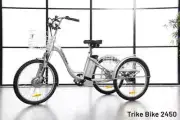 2450 Sobowo Electric Tricycle – Powerful Motor for Smooth & Easy Rides