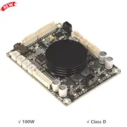 Wondom 1x100W Class D Subwoofer Amplifier Board w/ DSP Electronic Crossover EQ