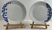 Set Of 2 Rika by Crate & Barrel 8 3/4" Salad Luncheon Plates NEW WITH TAGS