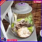 Fern Moss Micro-Landscape Grow Light with Timer LED Full Spectrum Growing Lamp