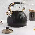 Stove Top Whistling Tea Kettle Pumpkin Pot Stainless Steel Teapot 3.5L