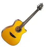 Cort Luxe Frank Gambale Signature Acoustic Guitar Concert Florentine Cutaway
