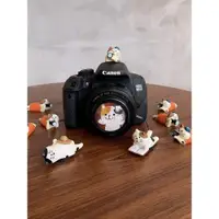 在飛比找ETMall東森購物網優惠-卡通可愛貓咪相機49mm鏡頭蓋58貓貓40.5防塵保護蓋熱靴