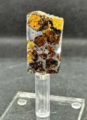 RARE PALLASOVKA METEORITE PALLASITE PARTIAL SLICE 11,45 g