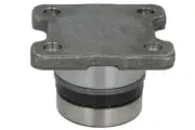 Repair Kit, differential DANA SPICER 733.06.759.11