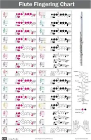 Flute Fingering Chart with Color-Coded Notes, Learn Flute Technique Suitable for