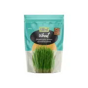 Wheat Sprouting Seeds - 100g - Untamed Health
