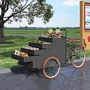 Three-Wheeled Fast Food Truck Ice-Cream Wagon Flower Cart Promotional Vehicle Beverage Coffee Truck Food Vending Kiosk Stand Platform Truck Cart(Black)