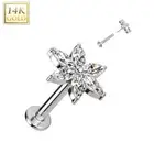 Piercing Labret Ear White Gold 14 Carat Flower 6 Petals