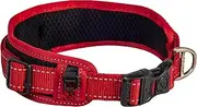 Rogz Classic Non Shift Padded Dog Collar with Rogloc Red Extra Large