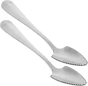 Garneck 2pcs Serrated Edge Stainless Steel Fruit Spoons for Dessert for Scraping Fresh Fruits Comfortable Grip Sleek Mirror Finish Easy to Clean