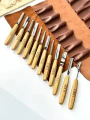 Set 12 Gouges, Straight & Bent Chisels in Case, Wood Carving, Carpentry Tools