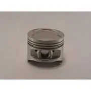 Austral Piston Set - PO846 020