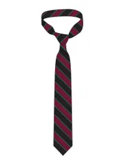 Snr Maroon/Green Stripe Tie