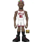 Funko Gold NBA Dennis Rodman Chicago Bulls Premium Vinyl Figure CHASE