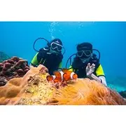 Save 20.01%! Phuket Dive Trip:Maithon or Racha Island For Beginners