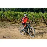 Save 20.00%! E-bike ride and tasting