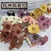 在飛比找蝦皮購物優惠-索拉花 非洲菊 畢業花束 太陽菊索拉 非洲太陽菊 擴香花 通