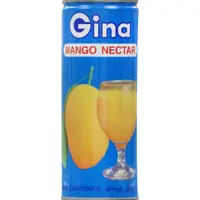 在飛比找蝦皮購物優惠-菲律賓 GINA真雅芒果汁 240ML