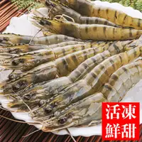 在飛比找蝦皮商城優惠-南海豐【活凍甜美草蝦】海上先生嚴選，甜美回味、肉質Q彈，海鮮