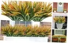 16Pcs Artificial Grass Fake Plants 17.3in Outdoor Plastic Plants UV Resistant