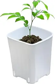 Planter Nursery Pots | Flower Seedling Nursery Pots,10X Small Seedling Holder with Drainage Holes for Succulents and Cuttings Desktop Yard Living Room Balcony Garden