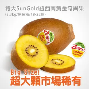 【築地一番鮮】 紐西蘭Sungold特大尺寸黃金奇異果原裝箱(3.3kg/箱/18-22顆)