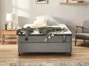 Sealy Back Support Harmony Deluxe Mattress & Base - Single / Medium
