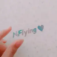 在飛比找蝦皮購物優惠-N.Flying 鐳射貼 手燈貼紙