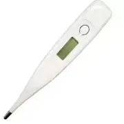 Electronic Digital Thermometer 30 Second Rigid (Bagged)