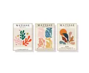 40cmx60cm Matisse Wall Art 3 Sets Wood Frame Canvas