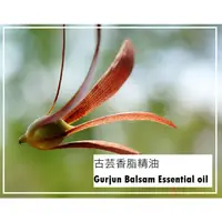 在飛比找蝦皮購物優惠-【露西皂材】古芸香脂精油 Gurjun Balsam Ess