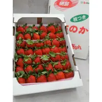 在飛比找蝦皮購物優惠-🇯🇵日本德島縣-枝付草莓