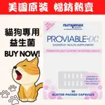 現貨！效期最新！ PROVIABLE-DC 寵物貓狗益生菌 NUTRAMAX 狗 貓 犬 腸胃保健 益生菌 美國