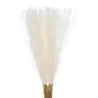 18Pcs Pampas Artificial Grass,21" Fake Pampas for Wedding Decoration,Cream